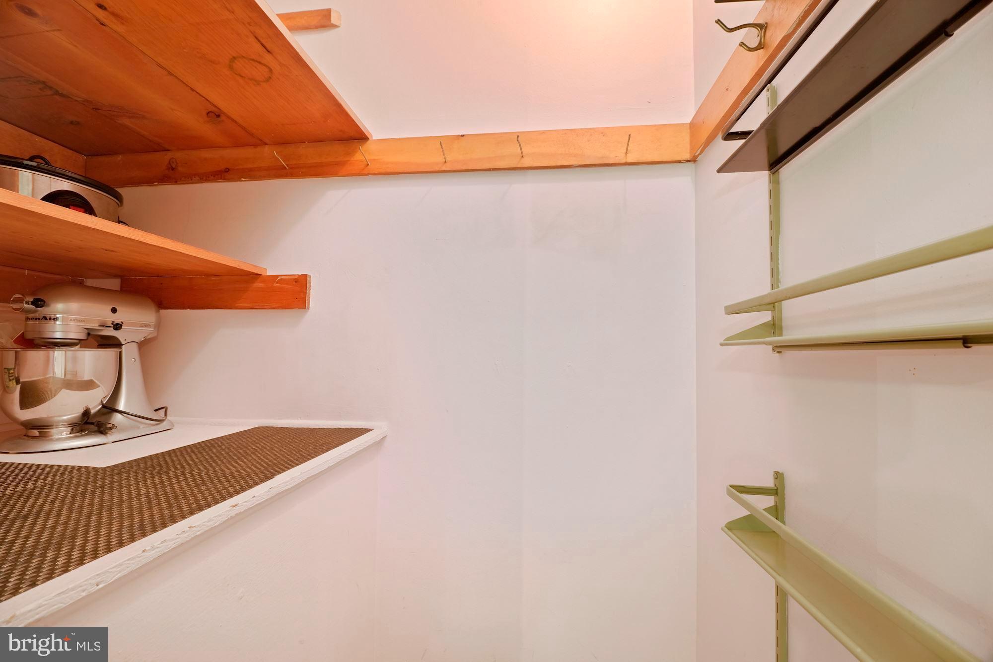 966 Lee Road Kennett Square, PA 19348 - Photo 19 of 51 Kitchen pantry