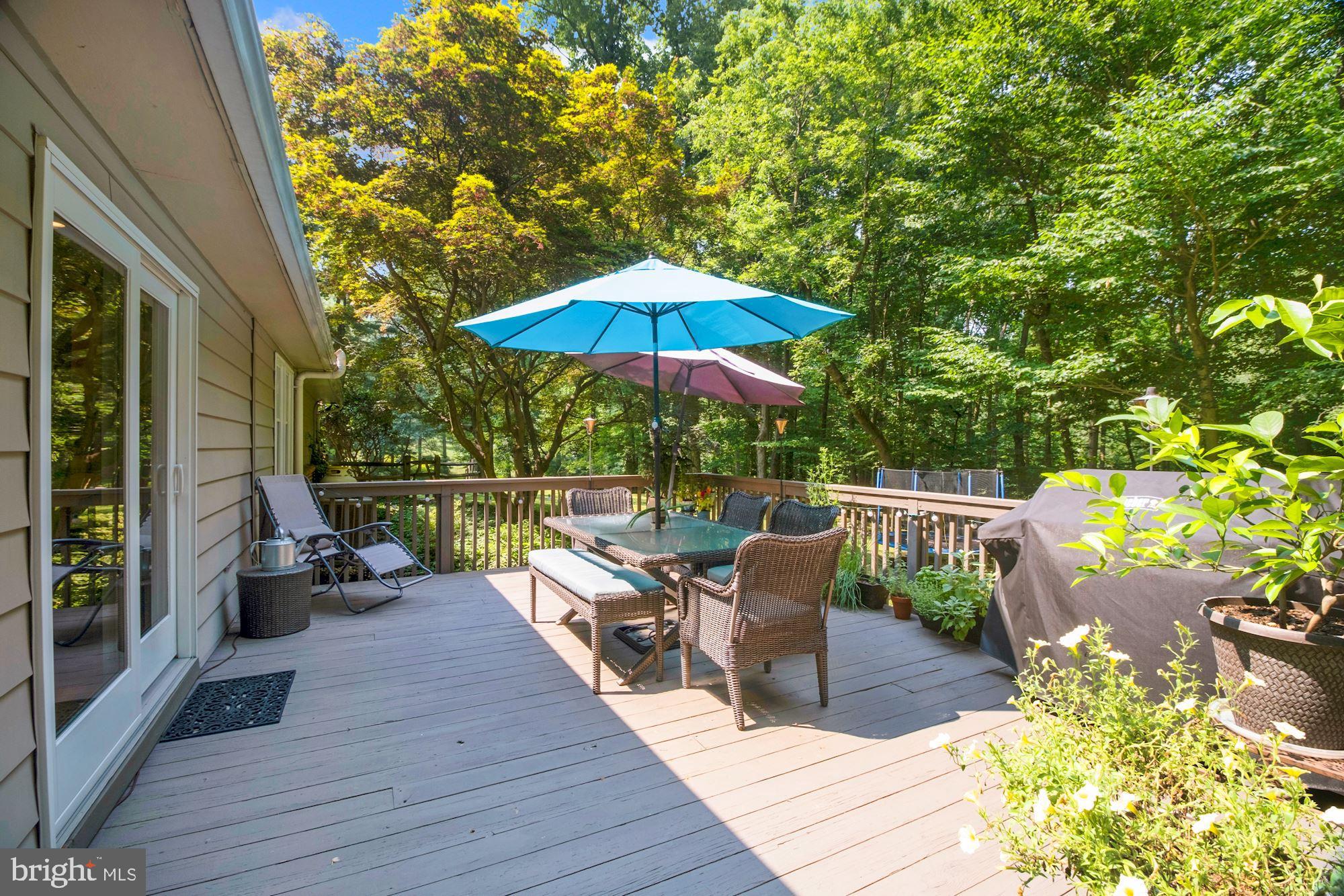 966 Lee Road Kennett Square, PA 19348 - Photo 8 of 51 Back deck