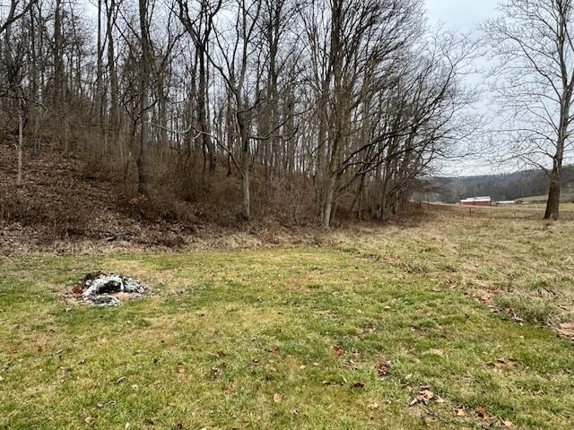 1018 Lunbeck Road Chillicothe, OH 45601 - Photo 9 of 19 YARD 1