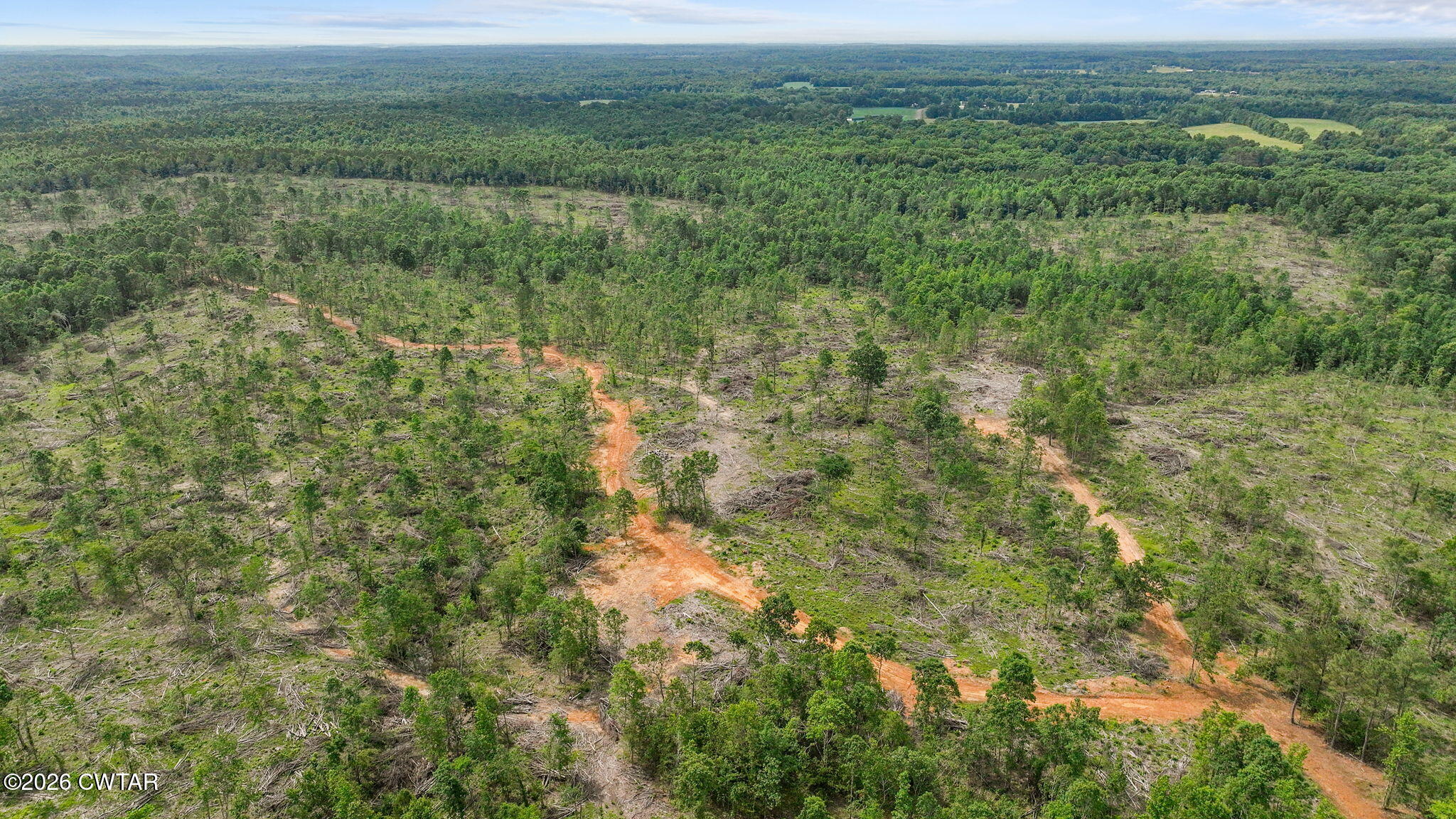 0 Wynn Road Big Sandy, TN 38221 - Photo 27 of 28 25-web-or-mls-DJI_0081