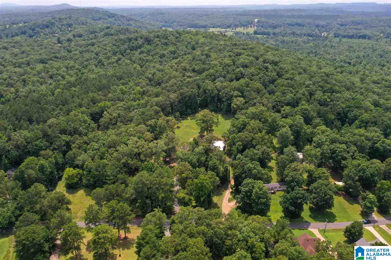 925 George Crowe Road Odenville, AL 35120 - Photo 46 of 50