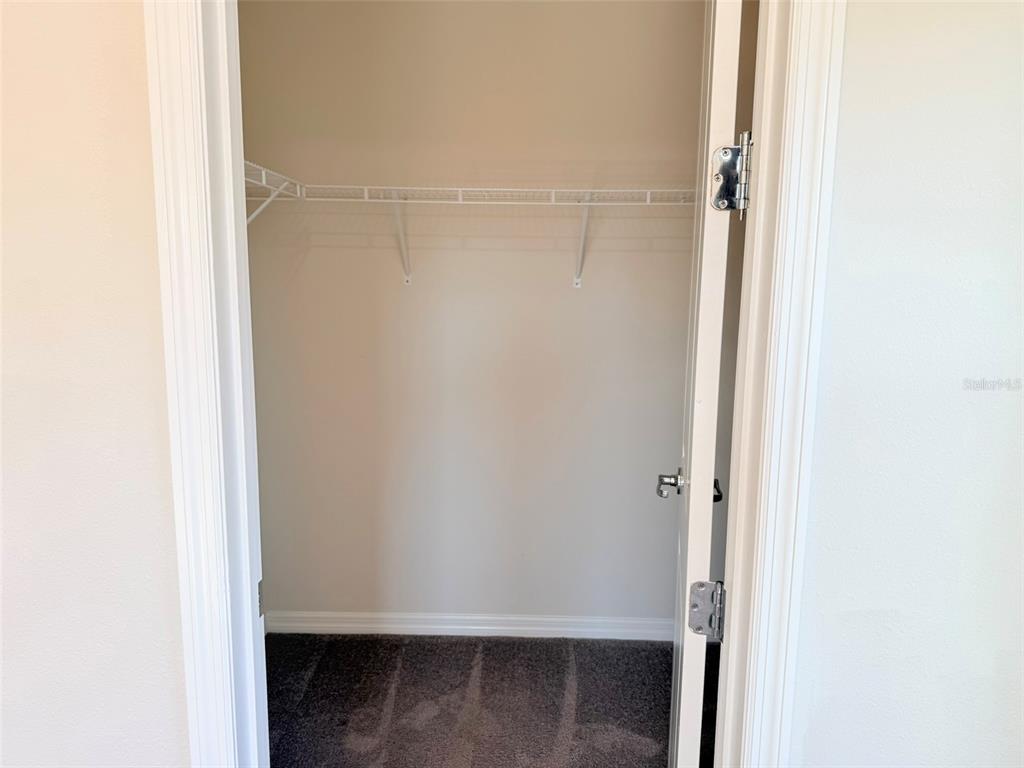 10844 Rolling Moss Road Tampa, FL 33647 - Photo 39 of 65