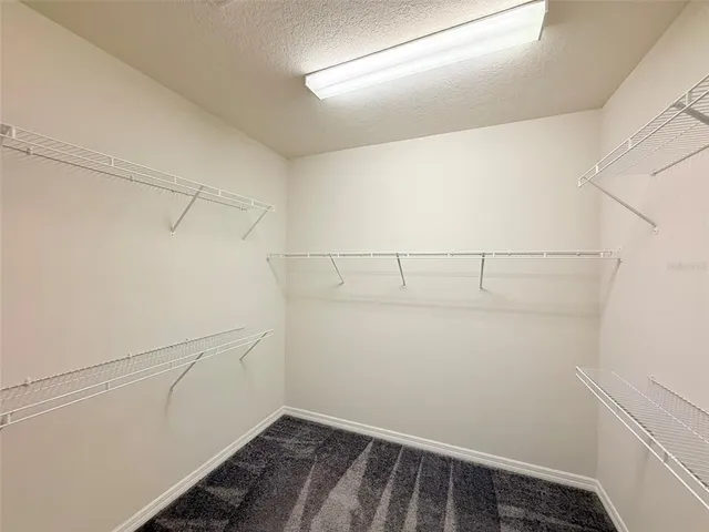 $3,700 | 10844 Rolling Moss Road, Tampa, FL 33647