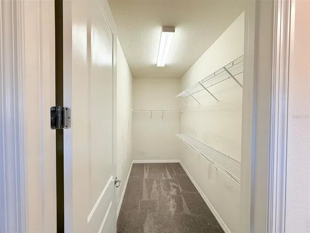 $3,700 | 10844 Rolling Moss Road, Tampa, FL 33647