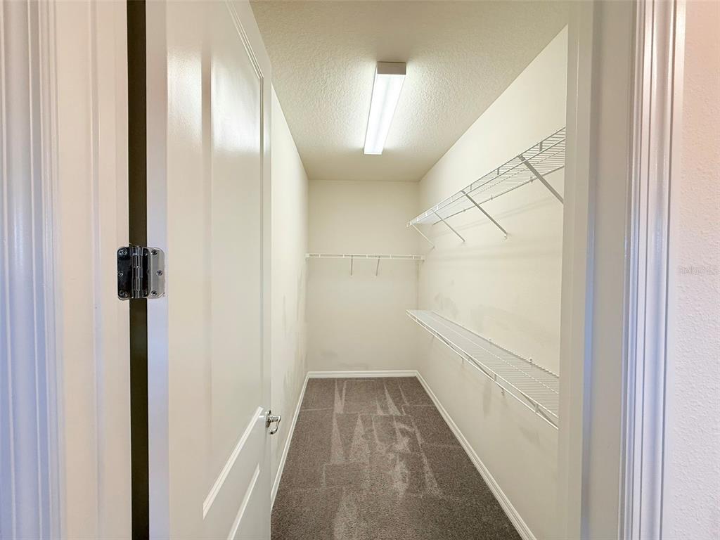 10844 Rolling Moss Road Tampa, FL 33647 - Photo 51 of 65