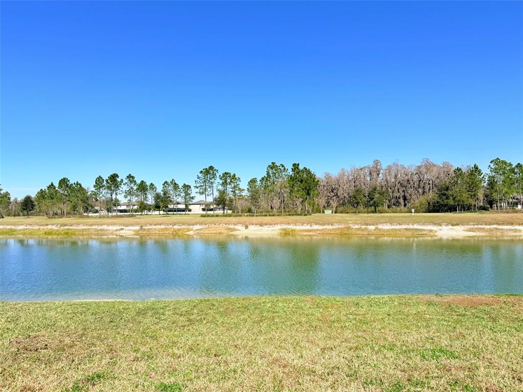 10844 Rolling Moss Road Tampa, FL 33647 - Photo 60 of 65