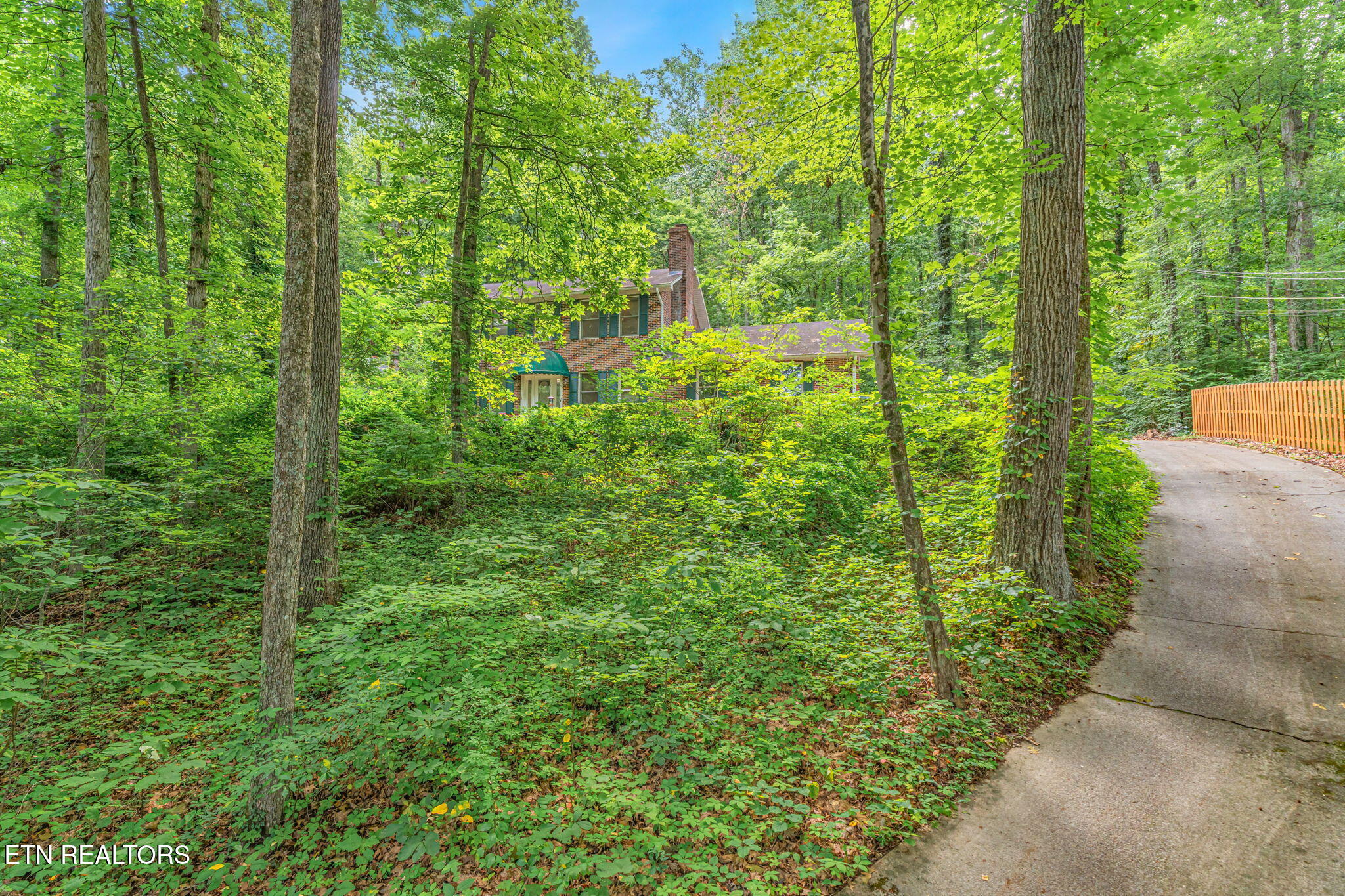1130 West Outer Drive Oak Ridge, TN 37830 - Photo 48 of 57 Private Driveway