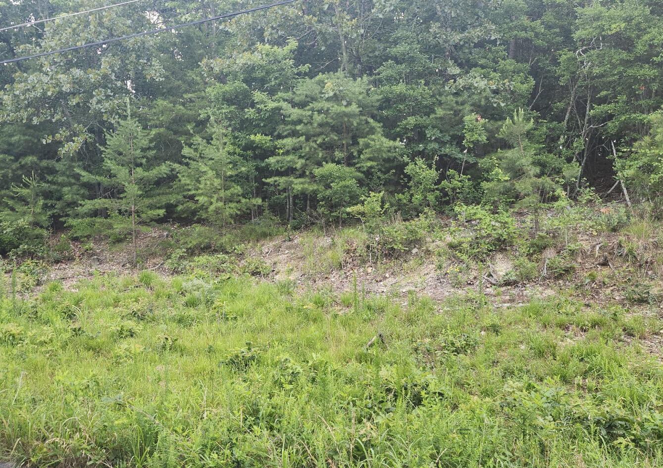 6201 Hidden Hill Road Harrison, TN 37341 - Photo 2 of 3 1000017290
