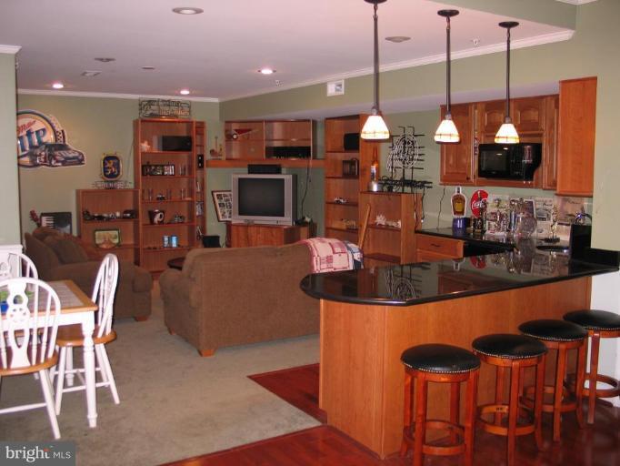 10009 Watkins Road Gaithersburg, MD 20882 - Photo 23 of 30 Finished Lower Level 2