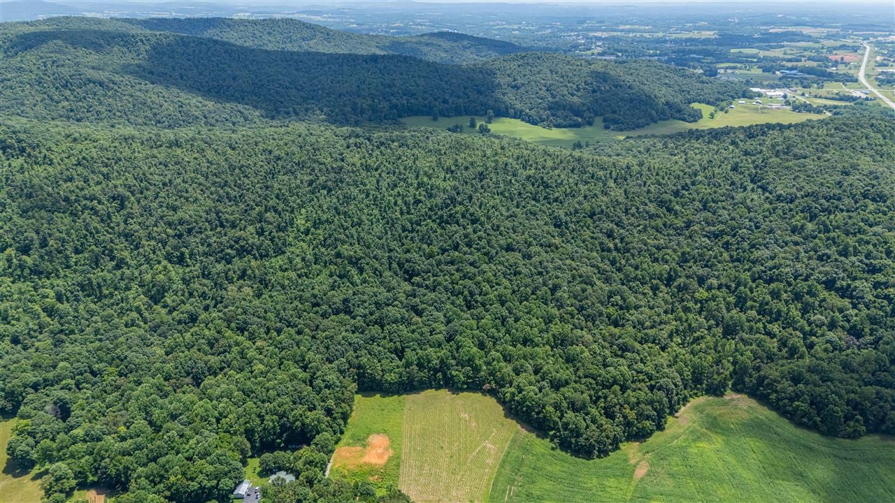 0 McKinley Guffey Road Albany, KY 42602 - Photo 11 of 23 Gallery Image 11