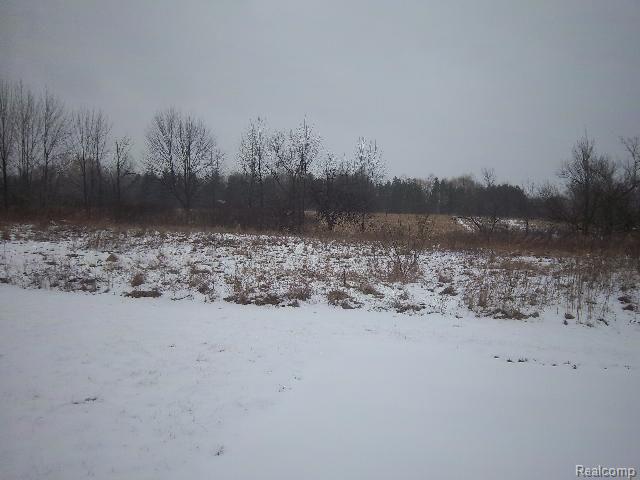 10069 East Coldwater Road Davison, MI 48423 - Photo 4 of 9 Rear Lot