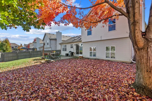 a house view with a backyard space