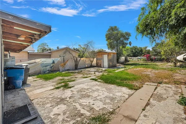 a view of a yard with plants and trees