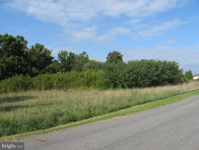 218 Shea Road Lothian, MD 20711 - Photo 2 of 26 Wooded View / Acreage