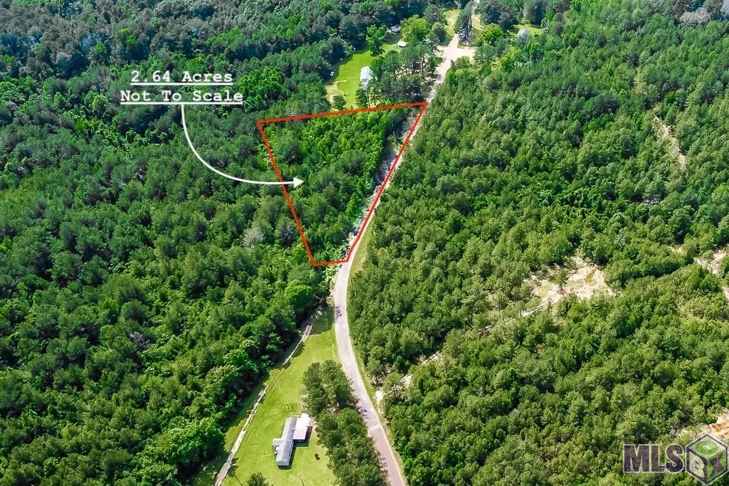 Tbd Jerusalem Road Liberty, MS 39645 - Photo 2 of 6