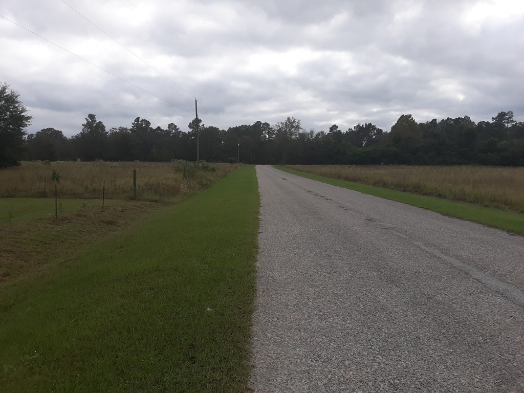 790 Chavis Road Blackville, SC 29817 - Photo 12 of 40 Gallery Image 12