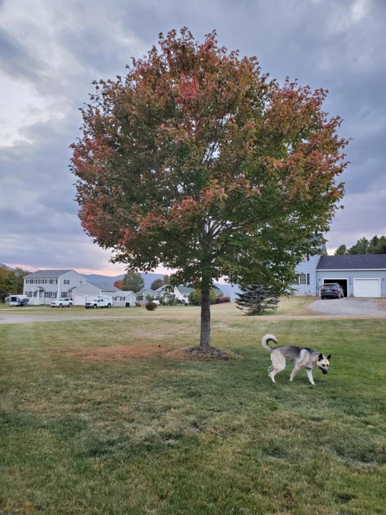101 Sargent Drive Johnson, VT 05656 - Photo 24 of 24