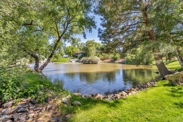 a view of a garden from a patio
