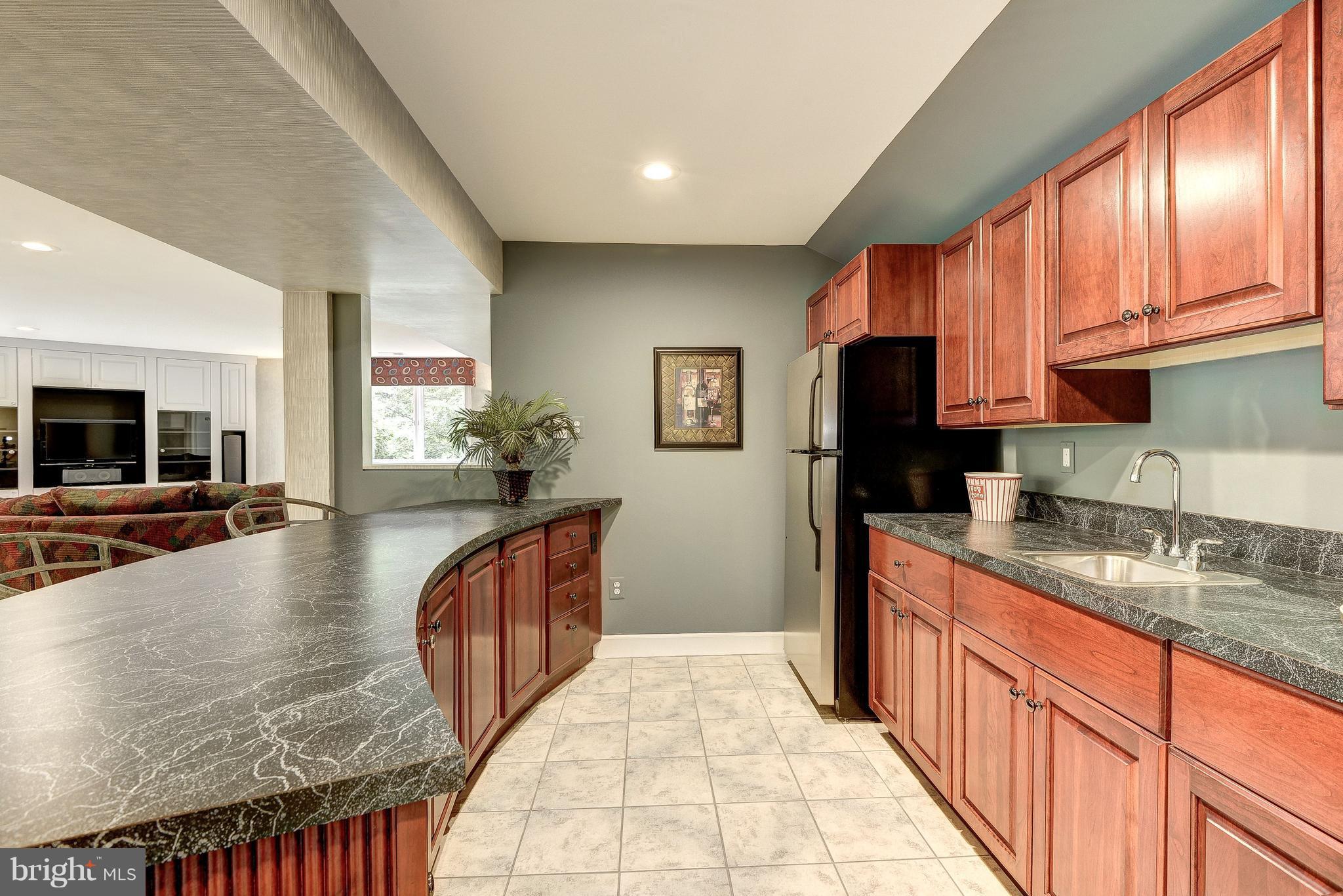 11225 Bright Pond Lane Reston, VA 20194 - Photo 18 of 30 Mini Kitchen/Wet Bar In Recreation Room