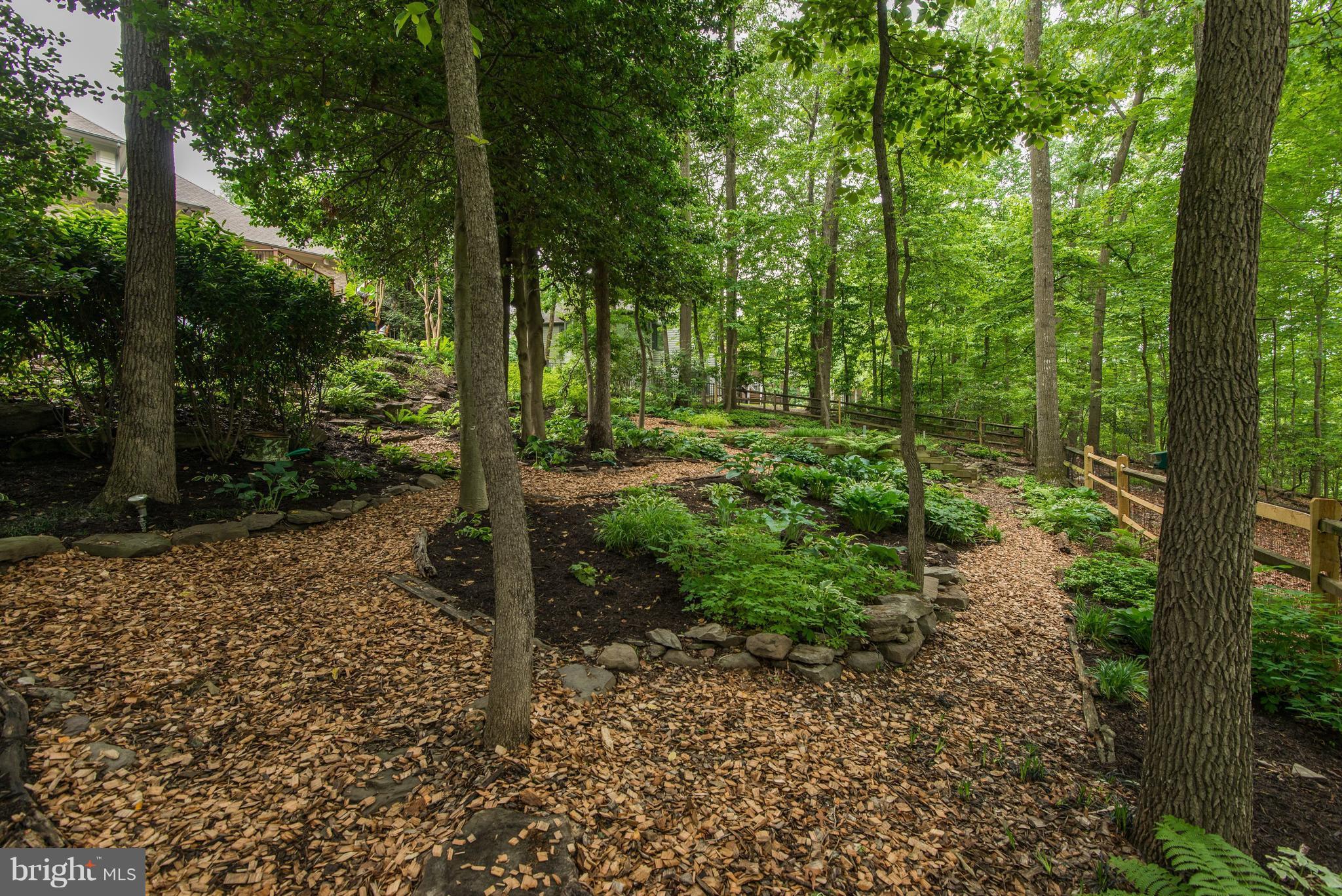 11225 Bright Pond Lane Reston, VA 20194 - Photo 25 of 30 Lower Level Of Rear Yard
