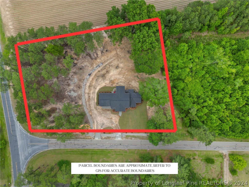 452 Brown Road Carthage, NC 28327 - Photo 3 of 50