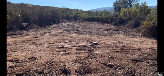 a view of a yard with trees in the background