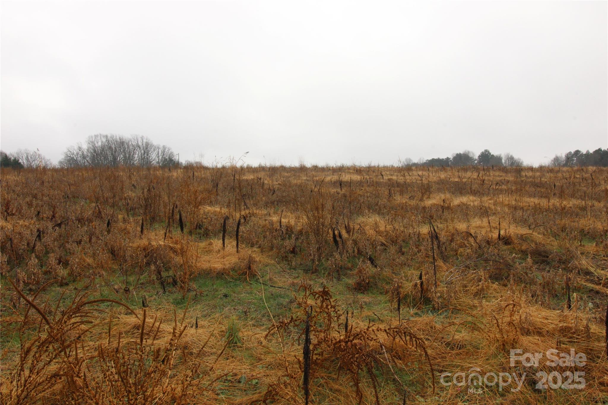 Lot D Lot D 3-ac Bess Road Kings Mountain, NC 28086 - Photo 3 of 3 a view of lake