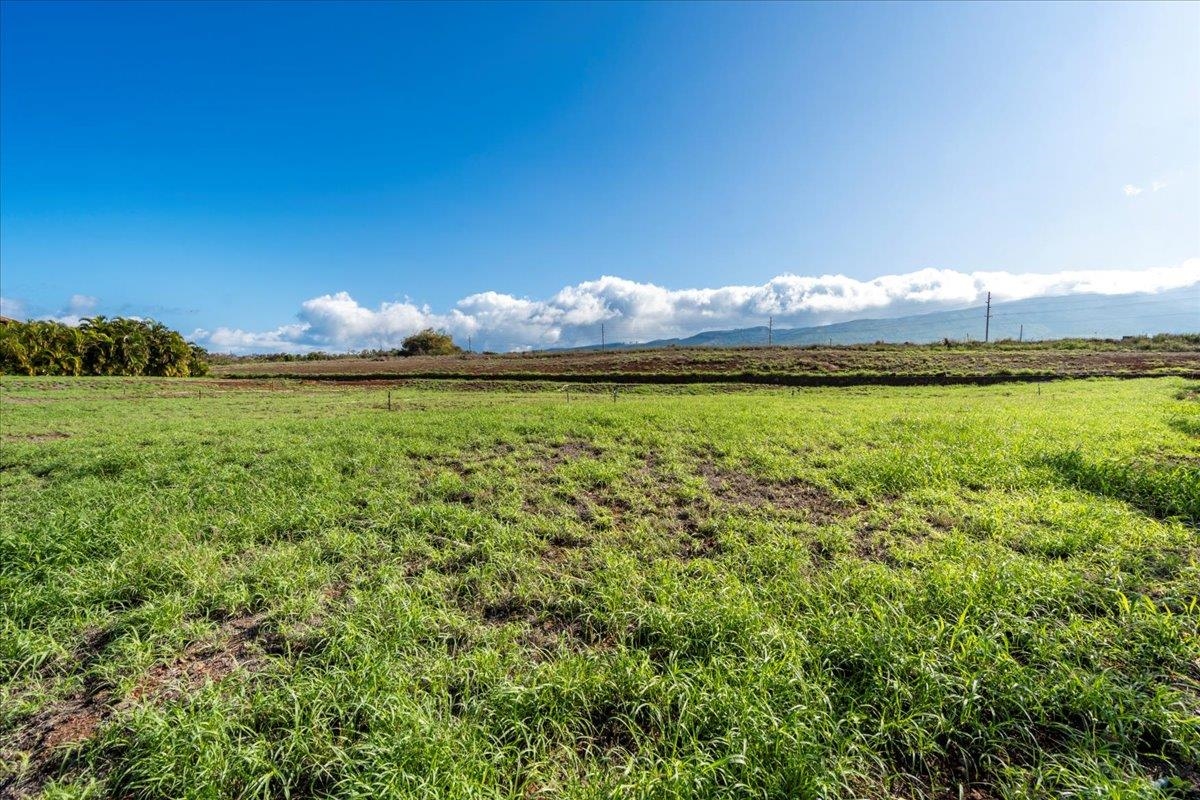 203 Welau Way Lahaina, HI 96761 - Photo 20 of 24 a view of a lake from a yard