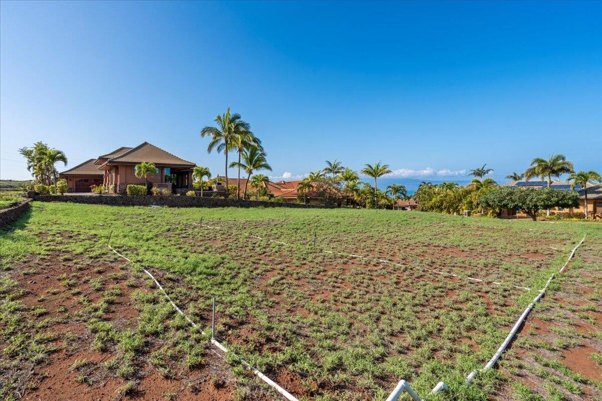 203 Welau Way Lahaina, HI 96761 - Photo 22 of 24 a view of a garden