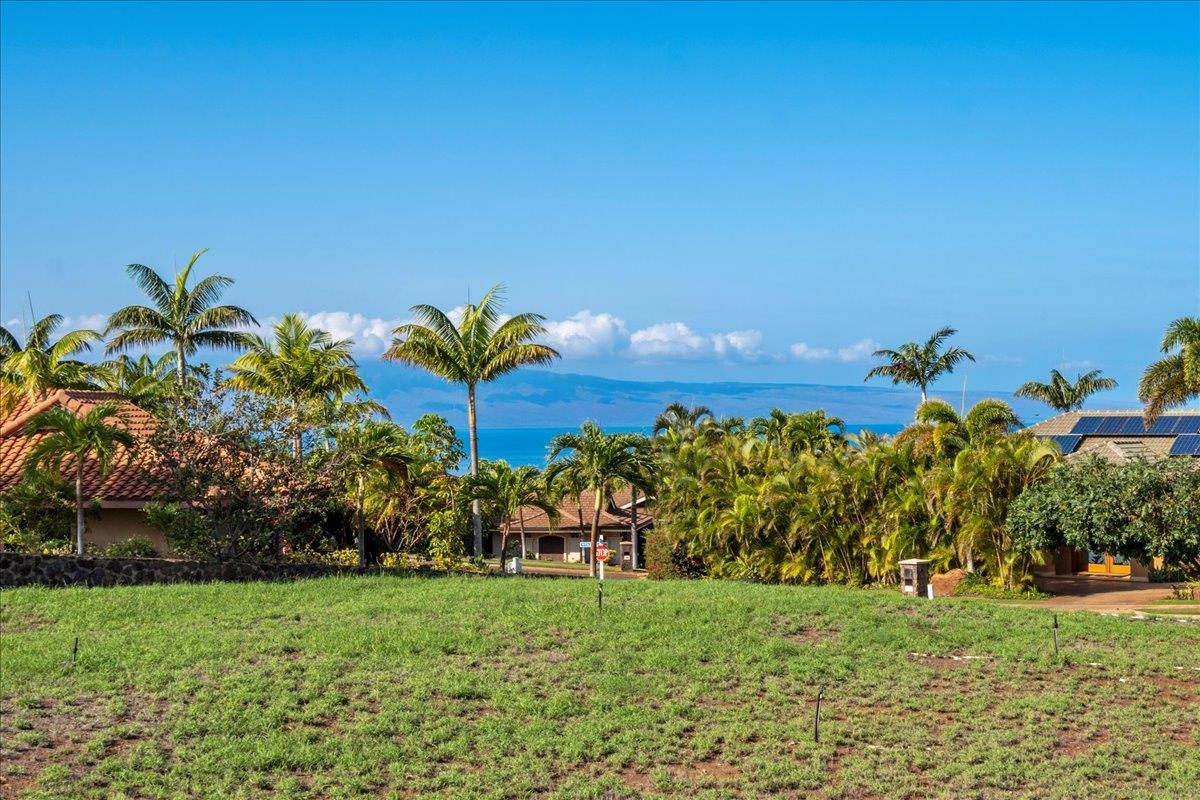 203 Welau Way Lahaina, HI 96761 - Photo 24 of 24 a view of a bunch of trees in front of house