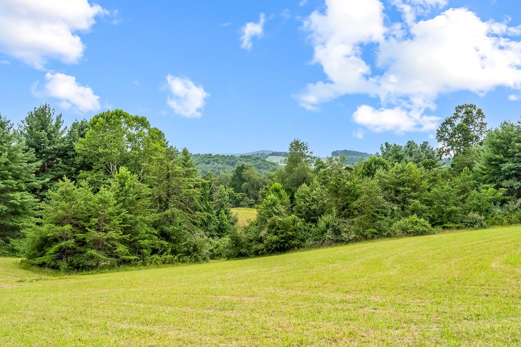 0 Canning Factory Road Southwest, Unit 659 Floyd, VA 24091 - Photo 41 of 49 Gallery Image 41