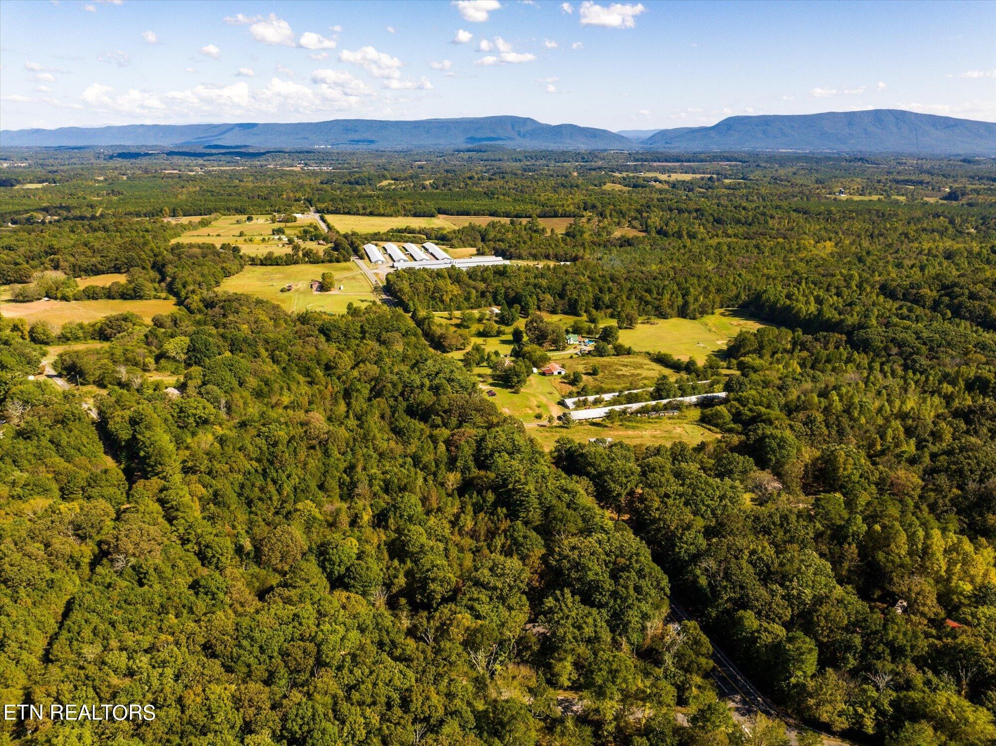 0 County Road 961 Riceville, TN 37370 - Photo 13 of 16 Gallery Image 13