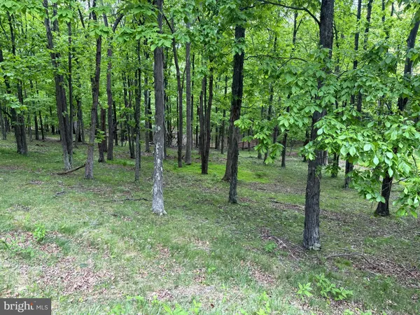 $59,900 | Lot 55-56 Sarah Lincoln Drive, New Creek, WV 26743