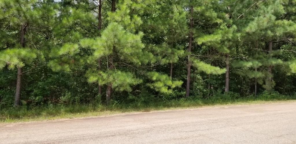 Shady Shady Farms Road Monticello, GA 31064 - Photo 1 of 1 Gallery Image 1