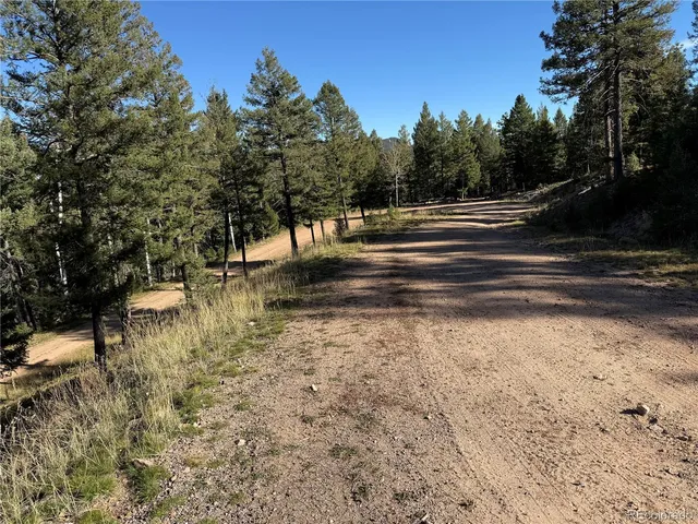 a view of yard with green space