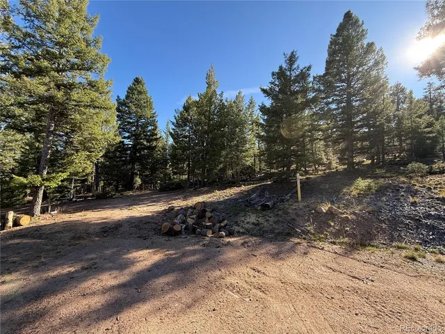 a view of a park with large trees