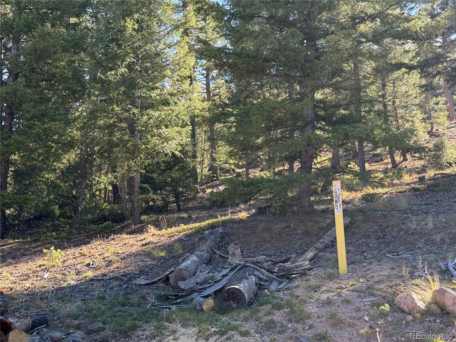 Parcel, Unit 4 Conifer, CO 80433 - Photo 13 of 23 a backyard of a house with lots of green space