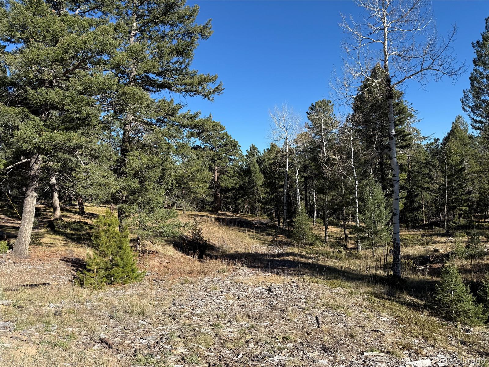 Parcel, Unit 4 Conifer, CO 80433 - Photo 14 of 23 a view of a yard with wooden fence