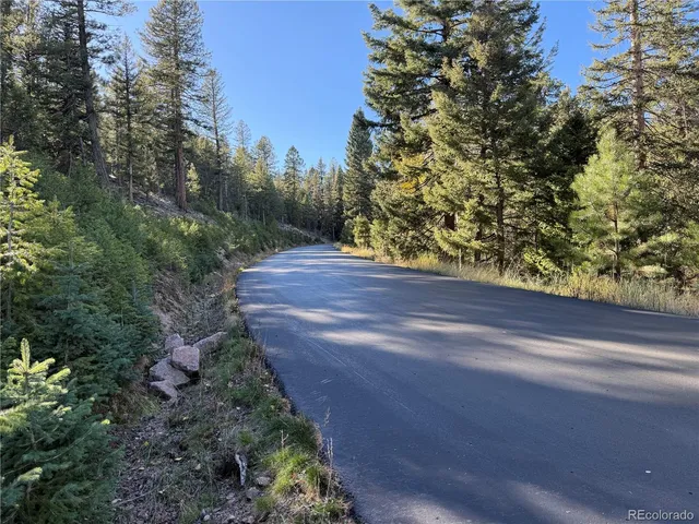 a view of backyard with green space