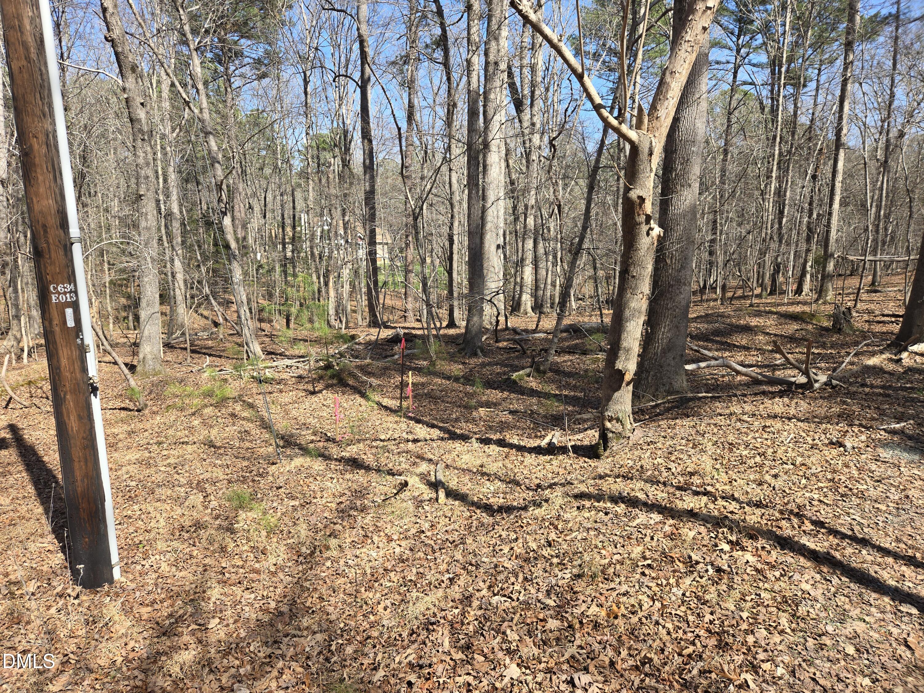 3620 Hawk Ridge Road Hillsborough, NC 27278 - Photo 11 of 18 20260313_133858