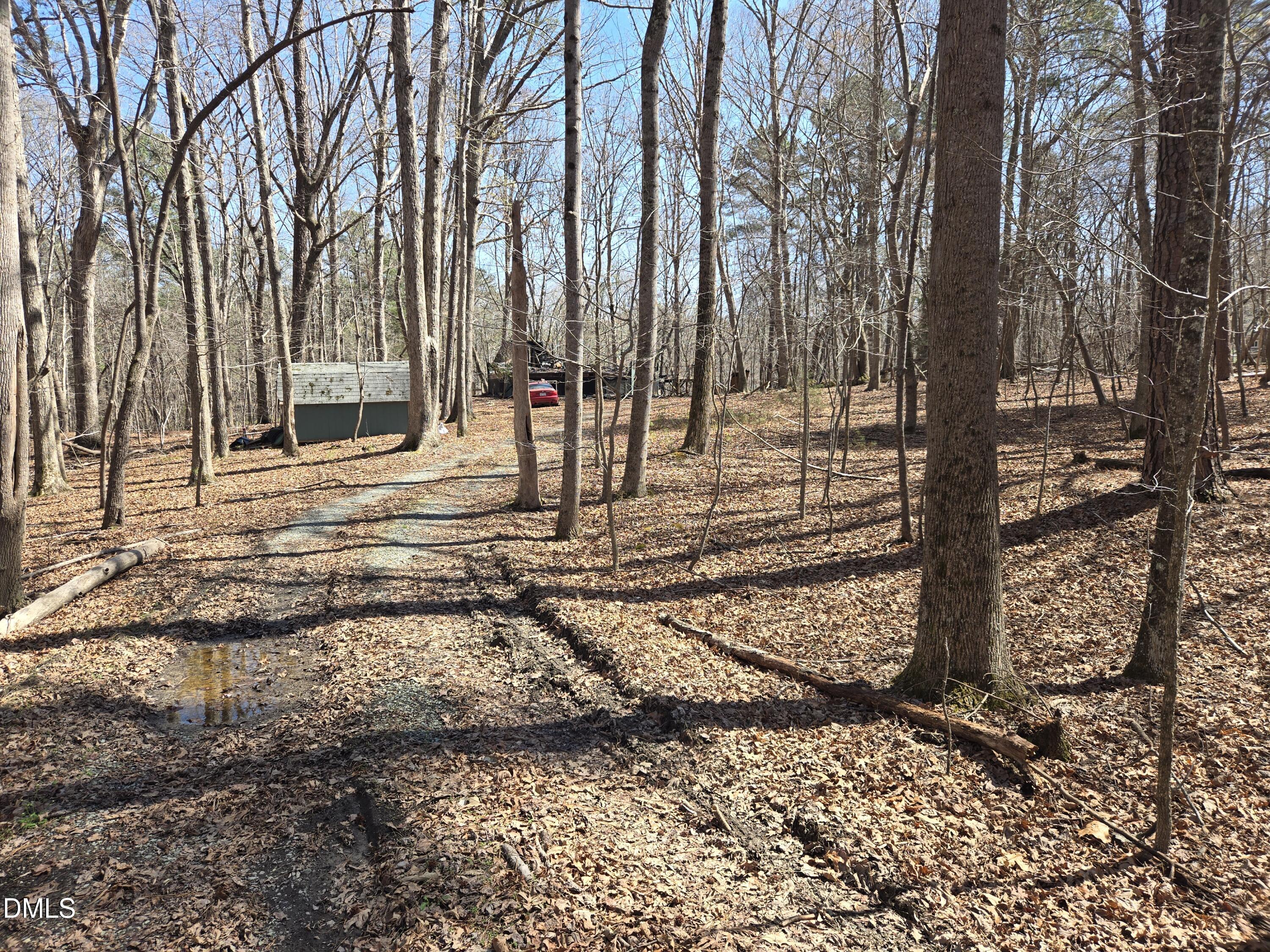 3620 Hawk Ridge Road Hillsborough, NC 27278 - Photo 12 of 18 20260313_133904