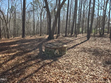 a view of a yard with large trees