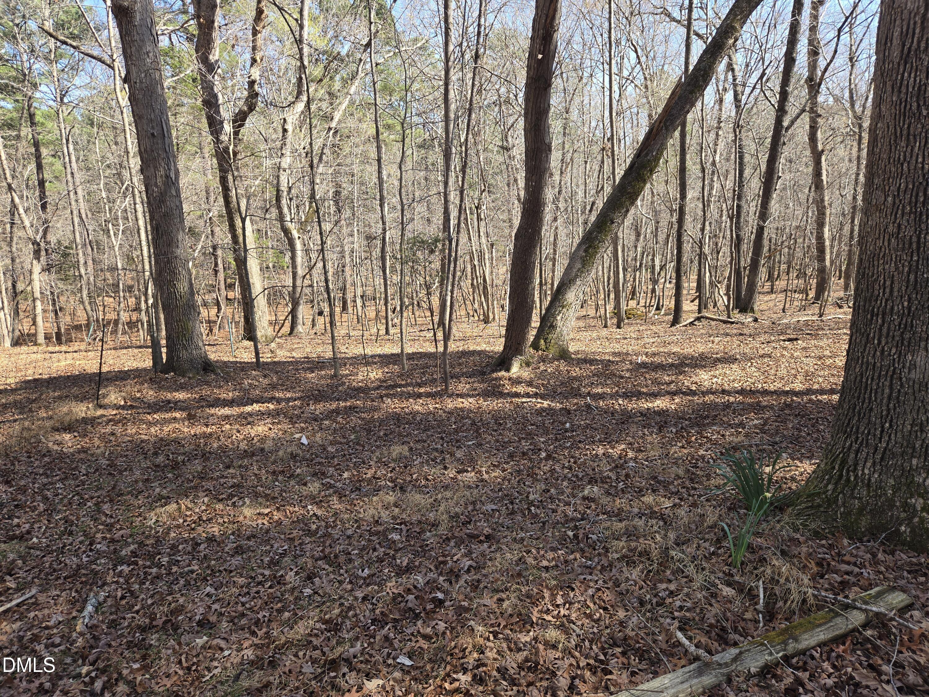 3620 Hawk Ridge Road Hillsborough, NC 27278 - Photo 18 of 18 20260313_134023