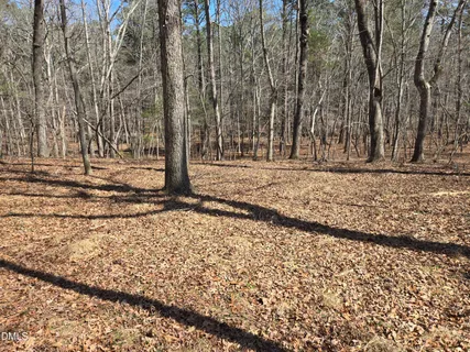 a view of a backyard with wooden fence