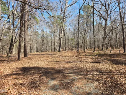 a view of space with trees