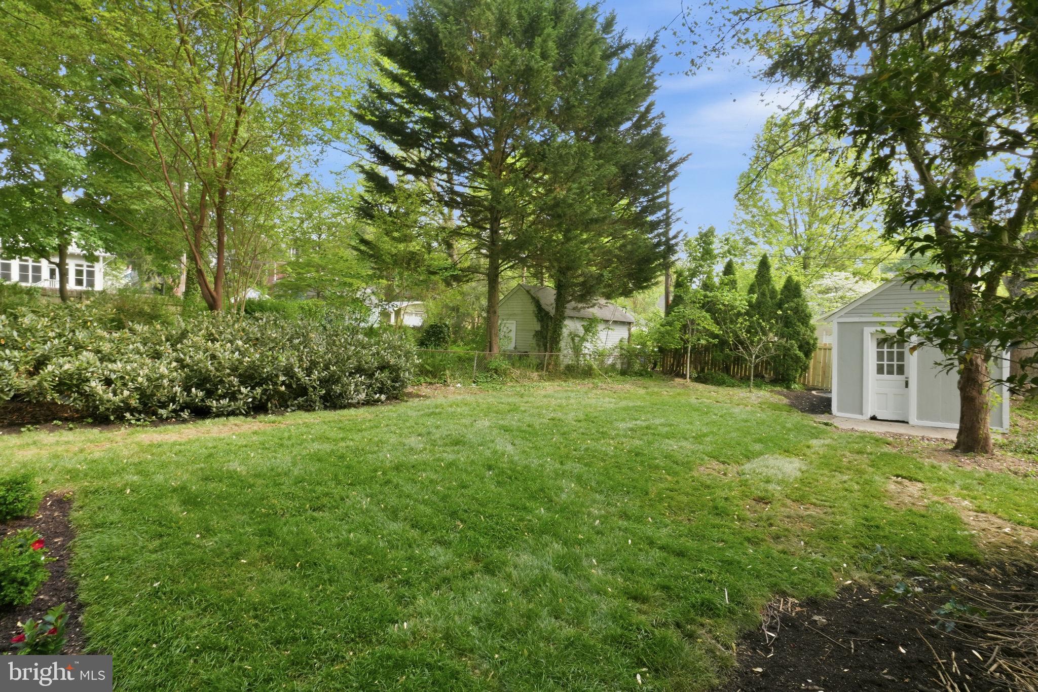 4720 Ellicott Street Northwest Washington, DC 20016 - Photo 49 of 52 a view of a yard with plants and large trees