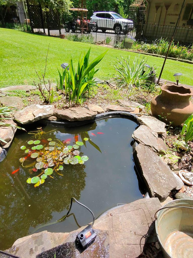 1054 Dickey Road Murphy, NC 28906 - Photo 10 of 28