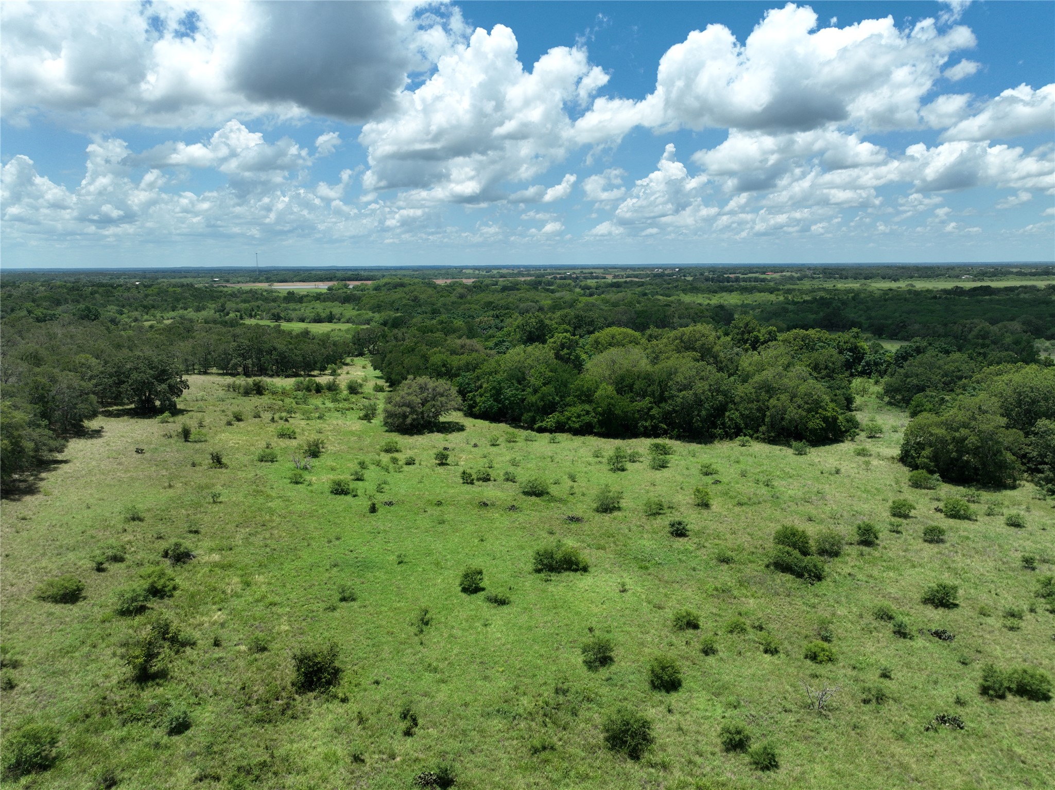 Tbd Lot 4 Tbd Road Dale, TX 78616 - Photo 16 of 24 Aerial view of a heavily wooded area