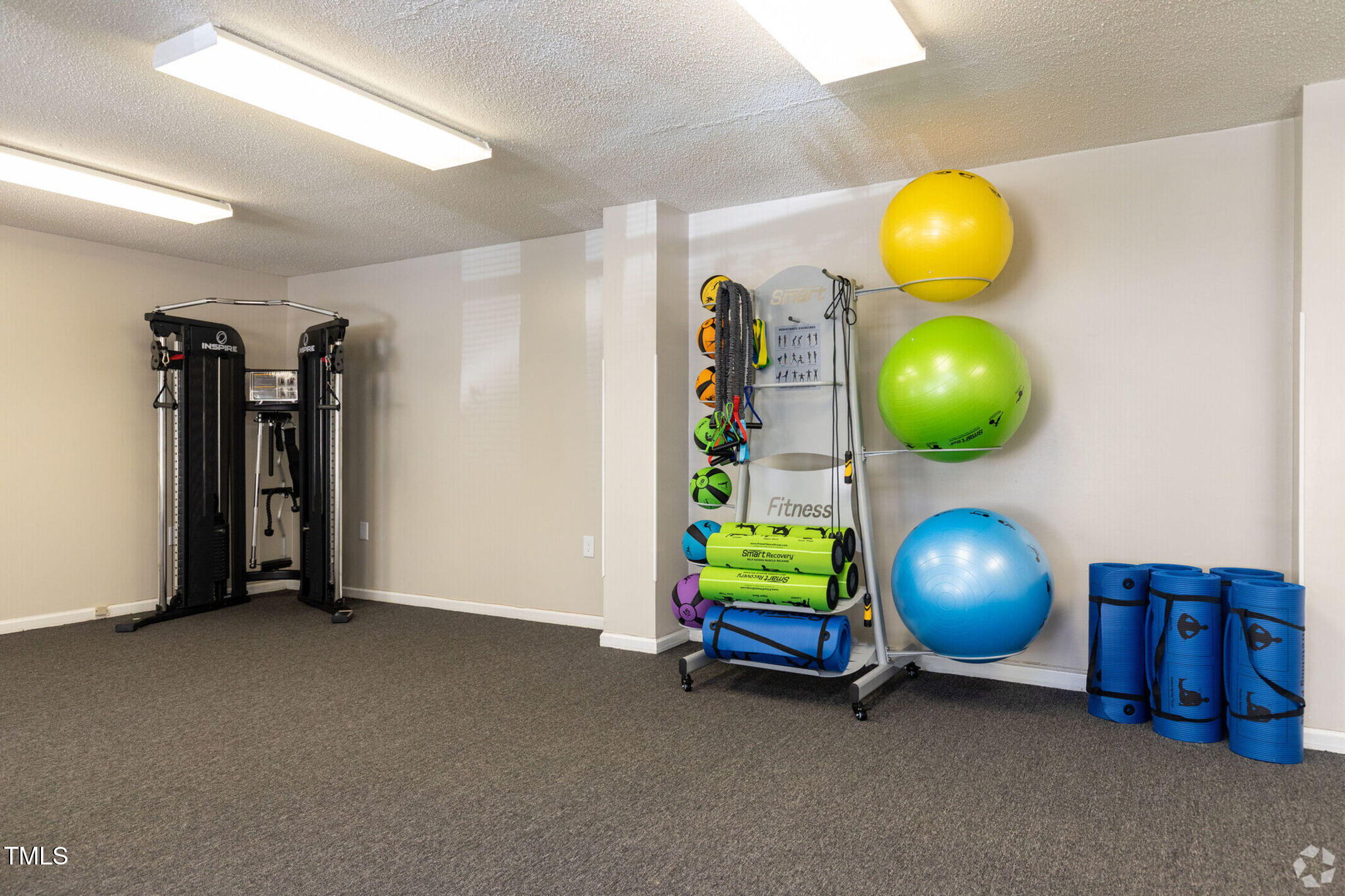 115 Holiday Park Road, Unit 3BED Hillsborough, NC 27278 - Photo 11 of 16 a view of a room with gym equipment