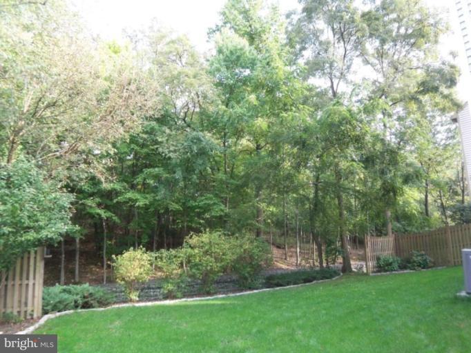2063 Madrillon Road Vienna, VA 22182 - Photo 21 of 24 Back yard